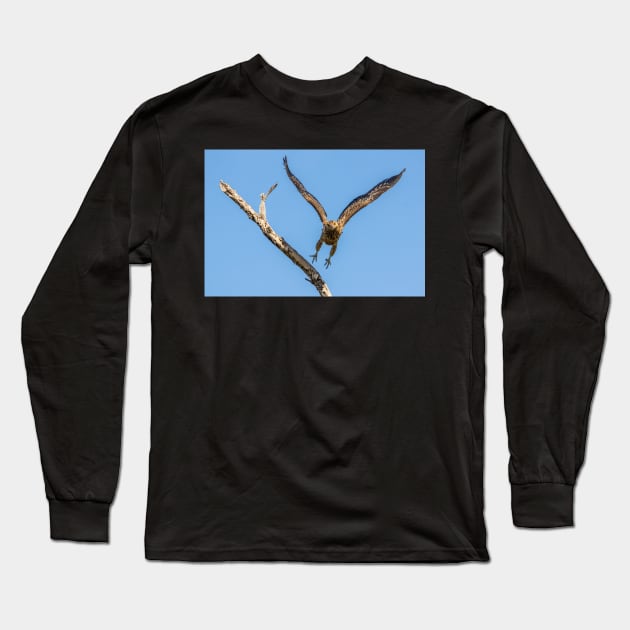 Whistling Kite, Northern Territory Long Sleeve T-Shirt by AndrewGoodall